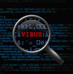 Virus