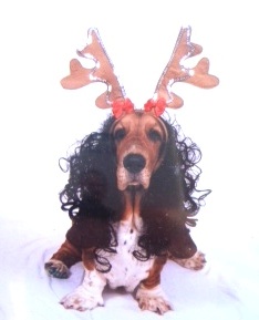 basset_xmas1