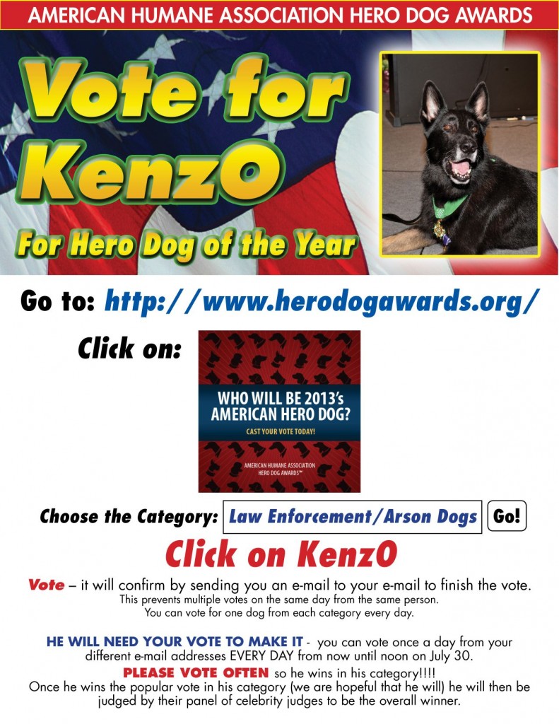 KenzO Flyer 2