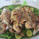 photo (2)