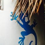 GeckoBungalow3