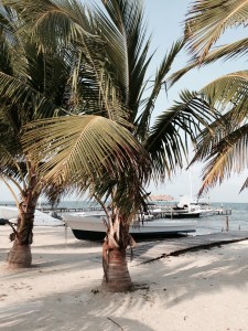 Hopkins Beach