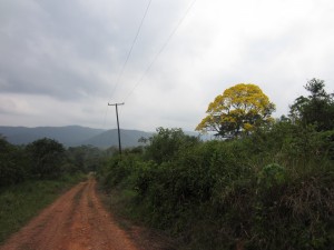 Hummingbird Highway 