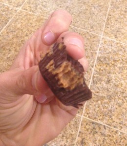 DarkChoc