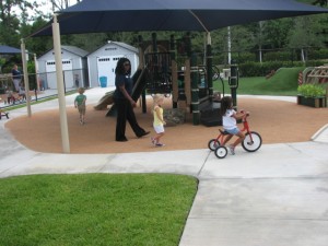 IMG_3951