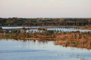 environmental sustainability