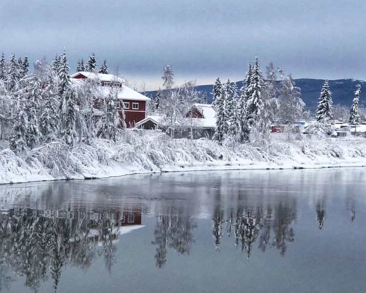 Things to see and do in Fairbanks Alaska on Travel with Terri